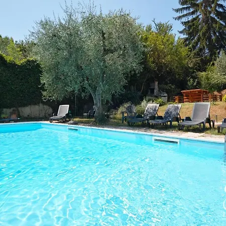 Solelago Exclusive